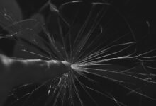 digital jar interfaces impact