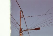 toll free support phone number