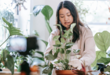 Plant Parent Problems: Why Your Houseplants Keep Dying