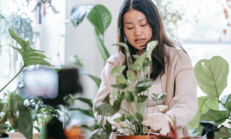 Plant Parent Problems: Why Your Houseplants Keep Dying
