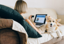 How to Keep Your Space Smelling Fresh with Pets Around