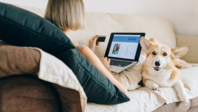 How to Keep Your Space Smelling Fresh with Pets Around